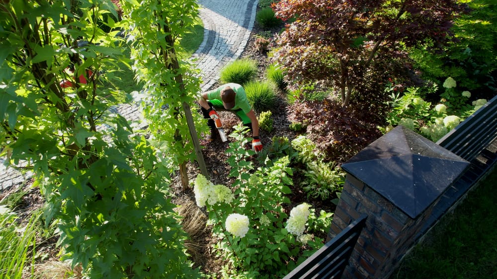 Gärtner bei der Gartenpflege in einem gepflegten Garten in Oelde