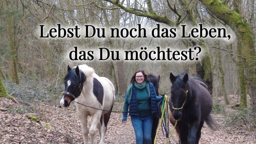 Pferdegestütztes Coaching für Macherinnen
