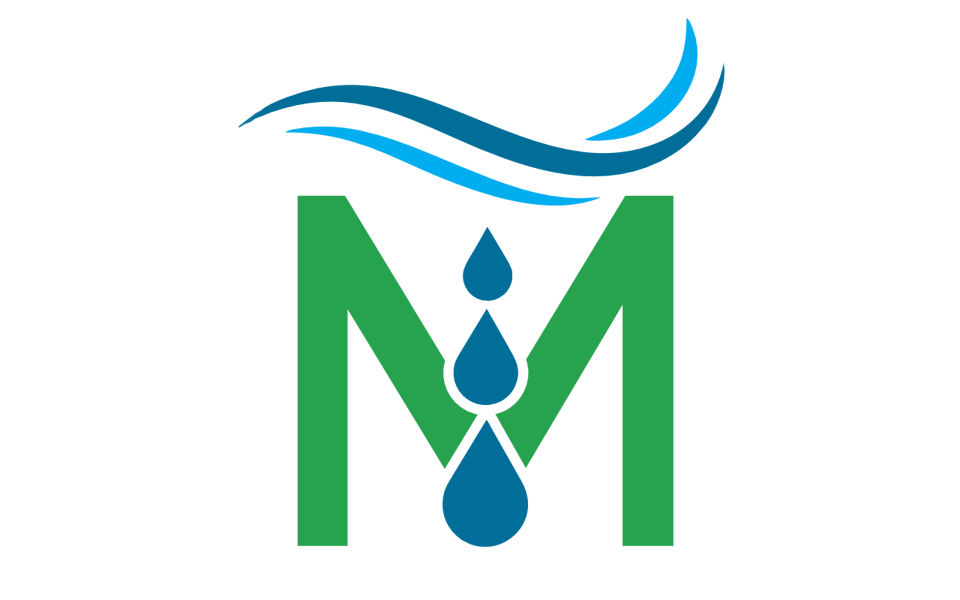 Hyla Wasserstaubsauger Tiefenreinigung und Luftreinigung in einem Gerät