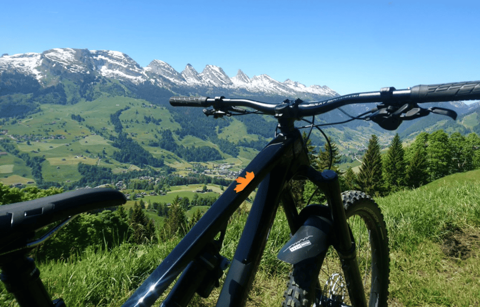 (c) Velometzg.ch