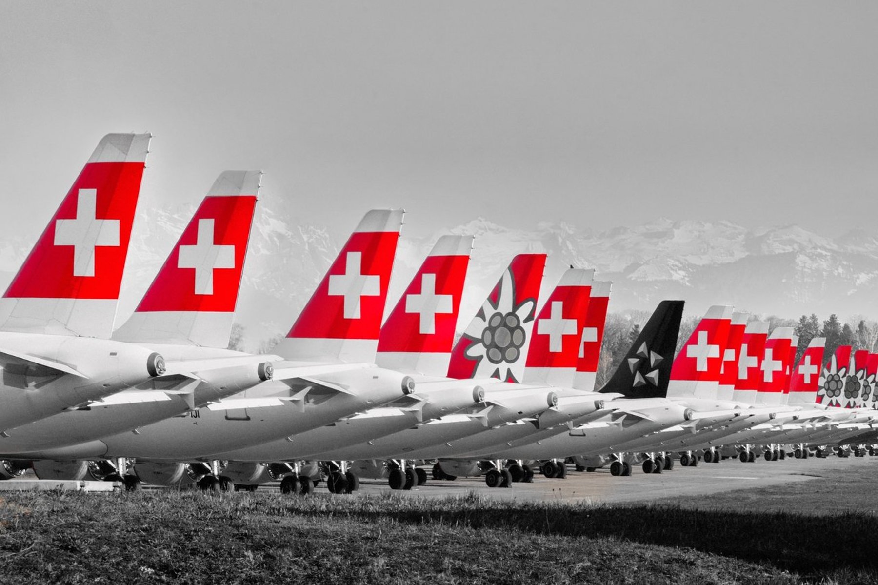 Geparkte Swiss- und Edelweiss-Flugzeuge während des Corona-Lockdowns 2020 in der Schweiz, Motiv aus dem Corona-Fotobuch LOCKDOWN