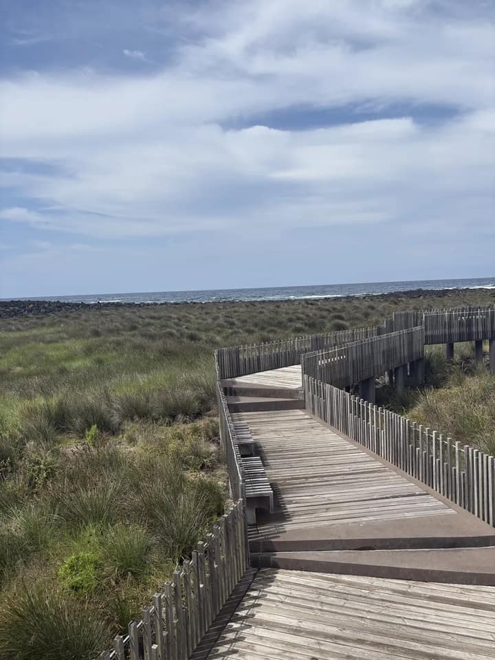 Ein Holzsteg führt mit einer Biegung durch die Küstenlandschaft zum Meer