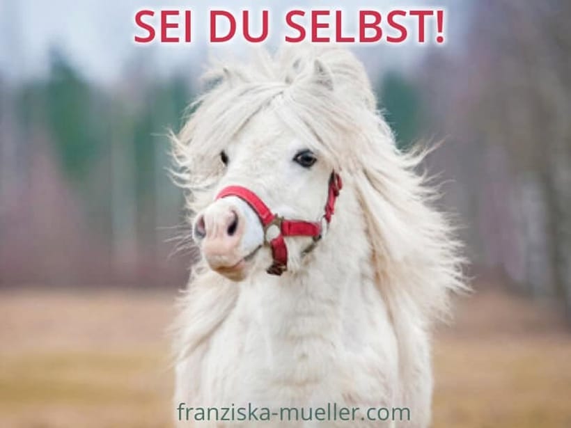 Pferdegestütztes Coaching Weiterbildung