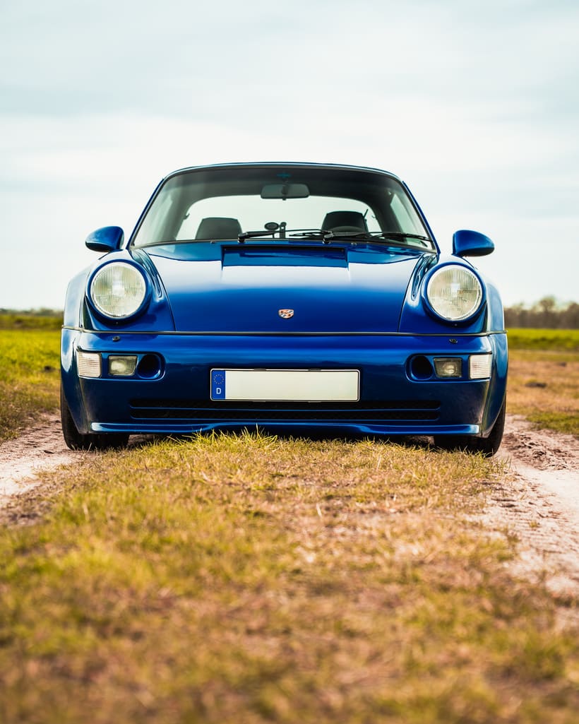 Porsche 911 von DEINELFER im Grünen