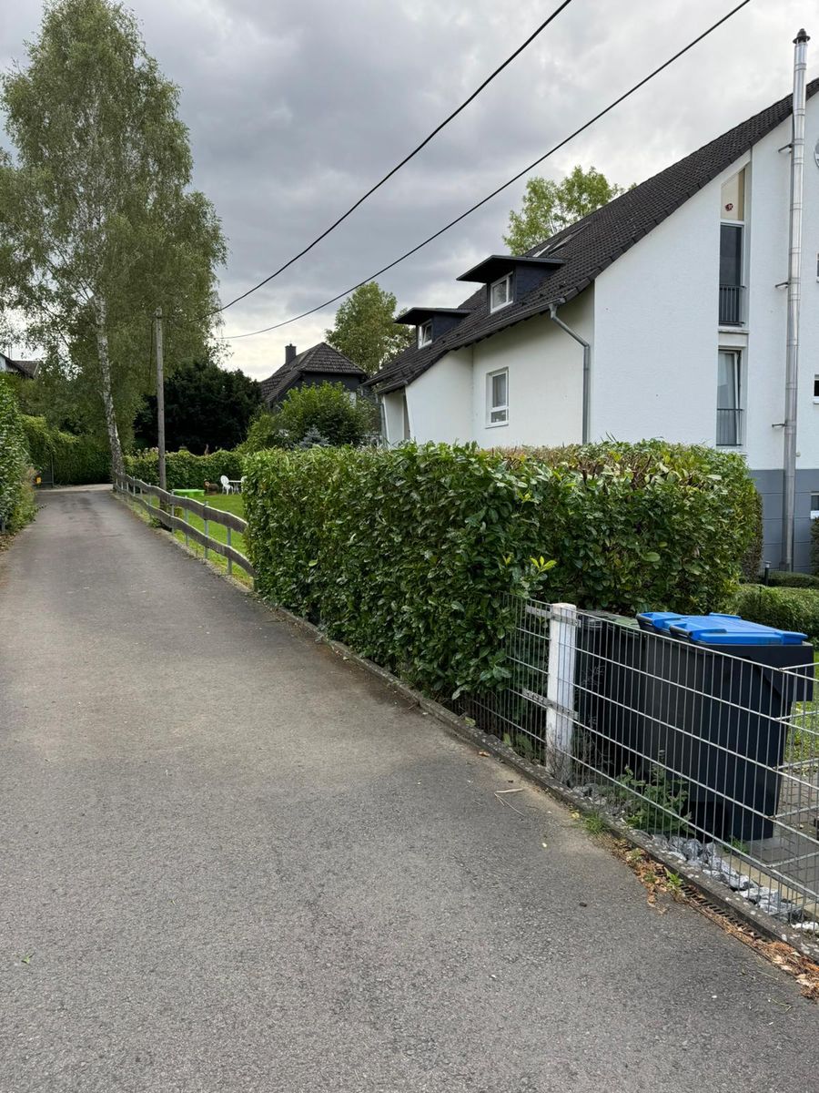 Frisch geschnittene Hecke entlang eines Weges