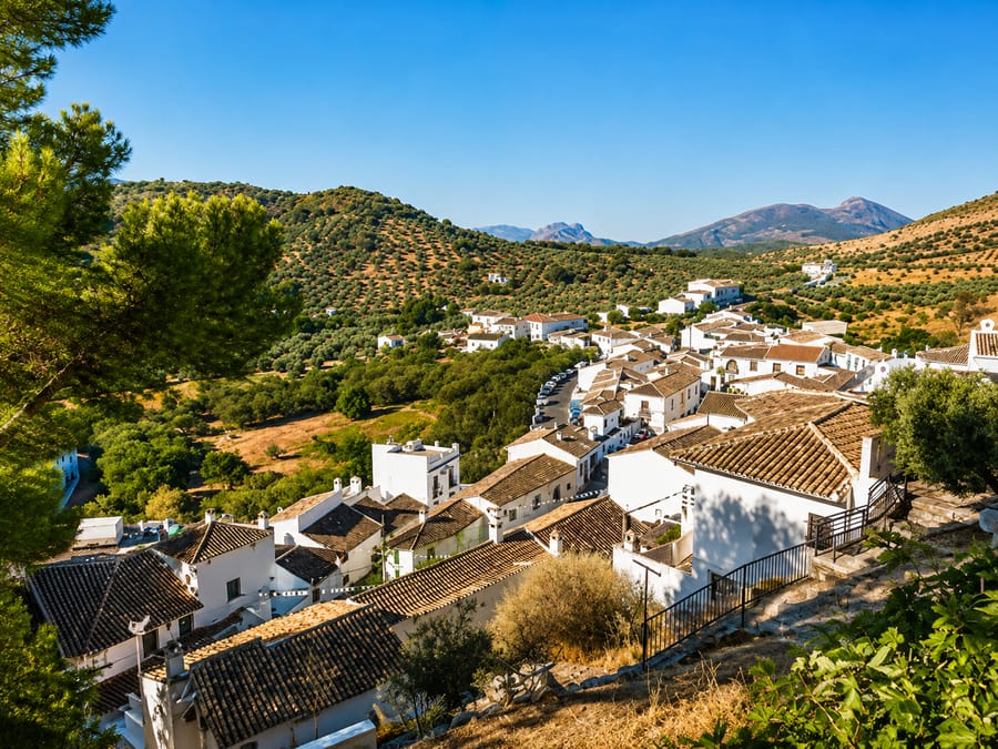 El punto de partida: Zagrilla Alta