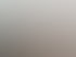 Foto aus dem Arbeitsalltag bei Butenschön und Partner