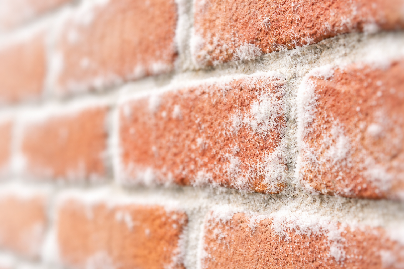 Salpeter Ausblühung