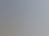 Pflasterarbeiten