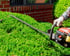 Heckenschnitt mit der Motorheckenschere an einer Thujahecke