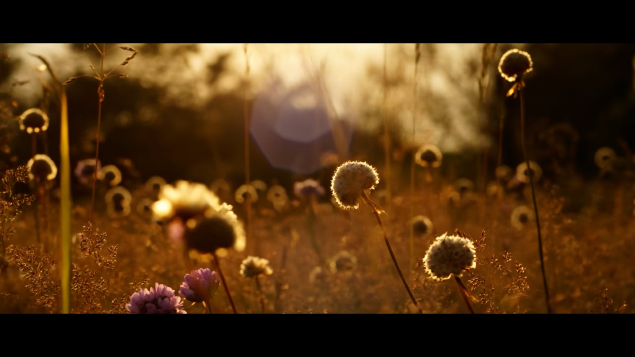 Neuester Imagefilm