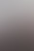 Kundenstimme über SPEEDSCALING
