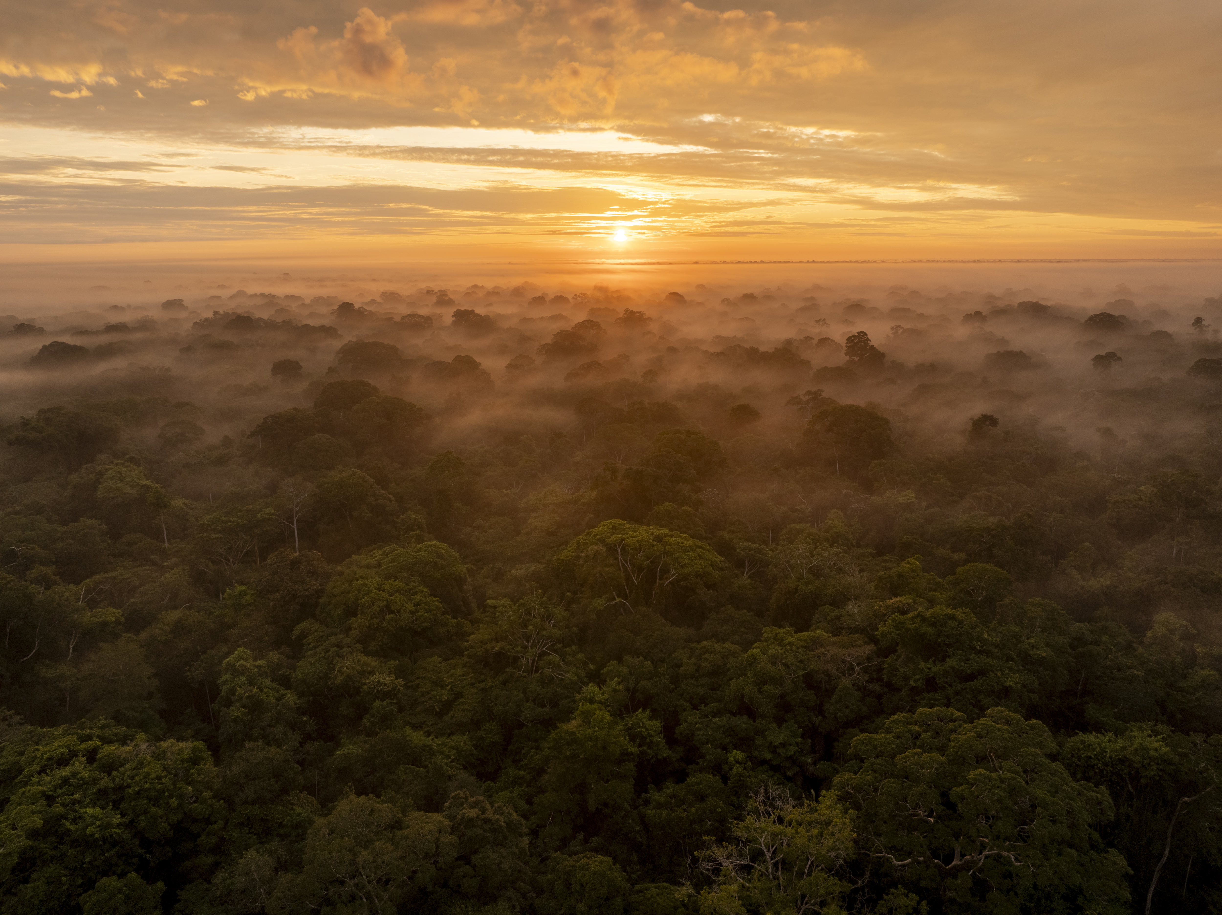 © Wilderness International - Dennis Schmelz