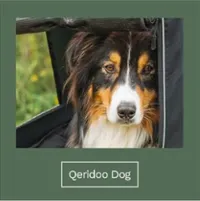 Kategorie-Kachel Qeridoo Dog aus dem Brand Store
