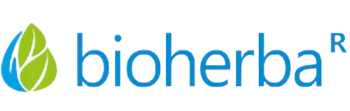 logo-2.png