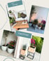 Vier Bilder einer Terrasse mit Pflanzen und Möbeln, der Text "Terrasse" und "nachher" ist sichtbar.