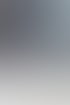 NINECON Portfolio – alle Leistungen im Überblick