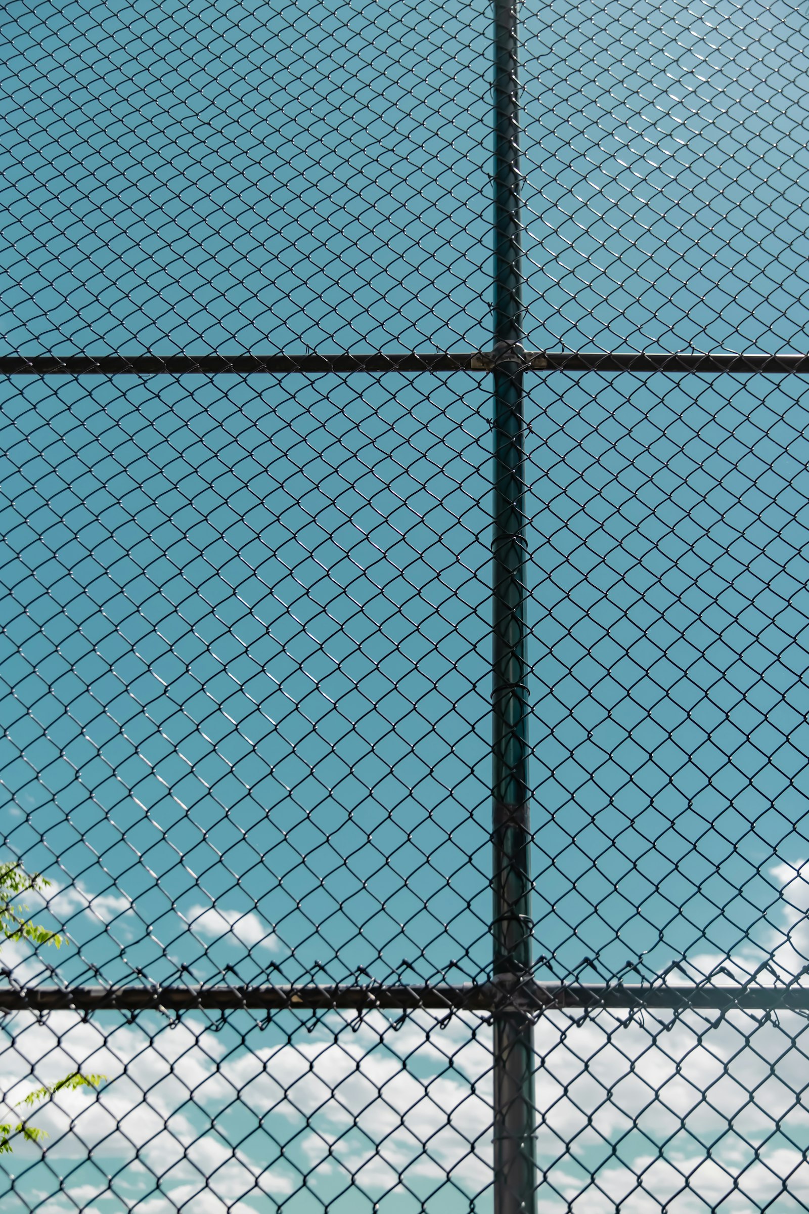 Black vinyl-coated chain link fence along a wooded rear property line in Columbia, Maryland