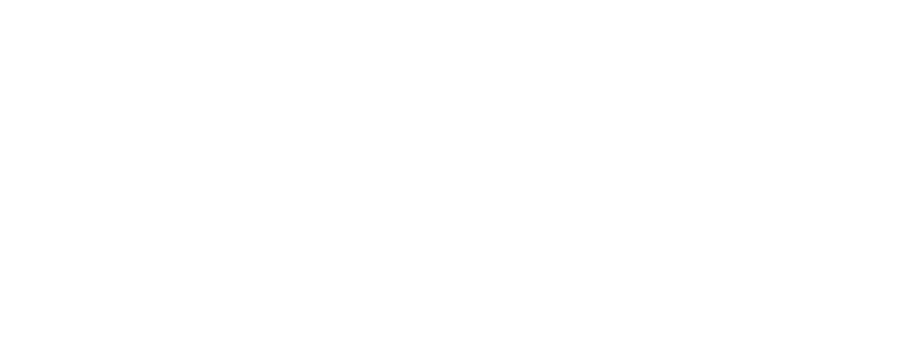 EMS Fit by Fightclub Logo — Referenz Werbefotografie Veropalumbo Studio