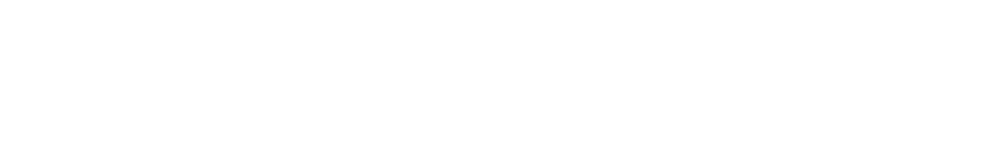 Logo mit weißer Schrift "DR. RAMMER-VIDEN" und stilisiertem "RV" auf grünem Hintergrund.