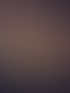 Lachsfilet mit Zitrone