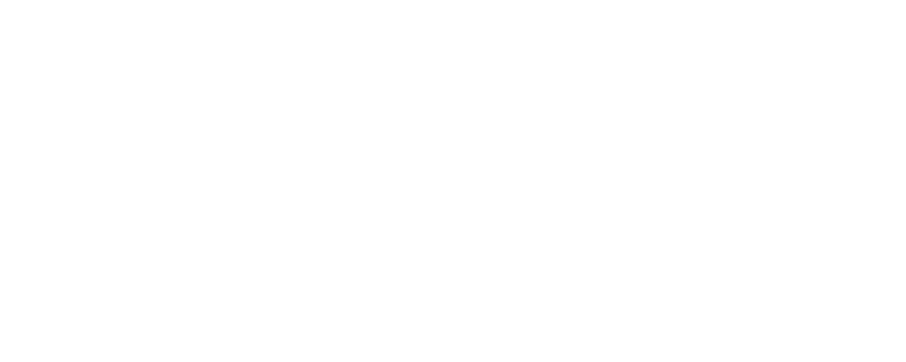 Visityou.de Logo — Referenz Werbefotografie Veropalumbo Studio