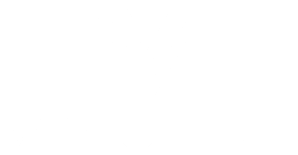 Das Vizorra-Logo zeigt ein stilisiertes weißes „V“ über dem Wort „VIZORRA“ auf grünem Hintergrund.
