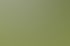 Große Gruppe von Erwachsenen und Kindern steht auf einer grünen Wiese mit Bäumen im Hintergrund.