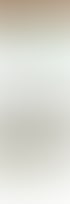 Produktseite Premium-Rollrasen im Shopify-Shop von Rollrasen Ratsziegelei