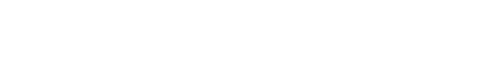 Shopify Partner