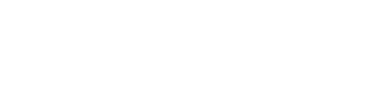 BVGE Consulting GmbH