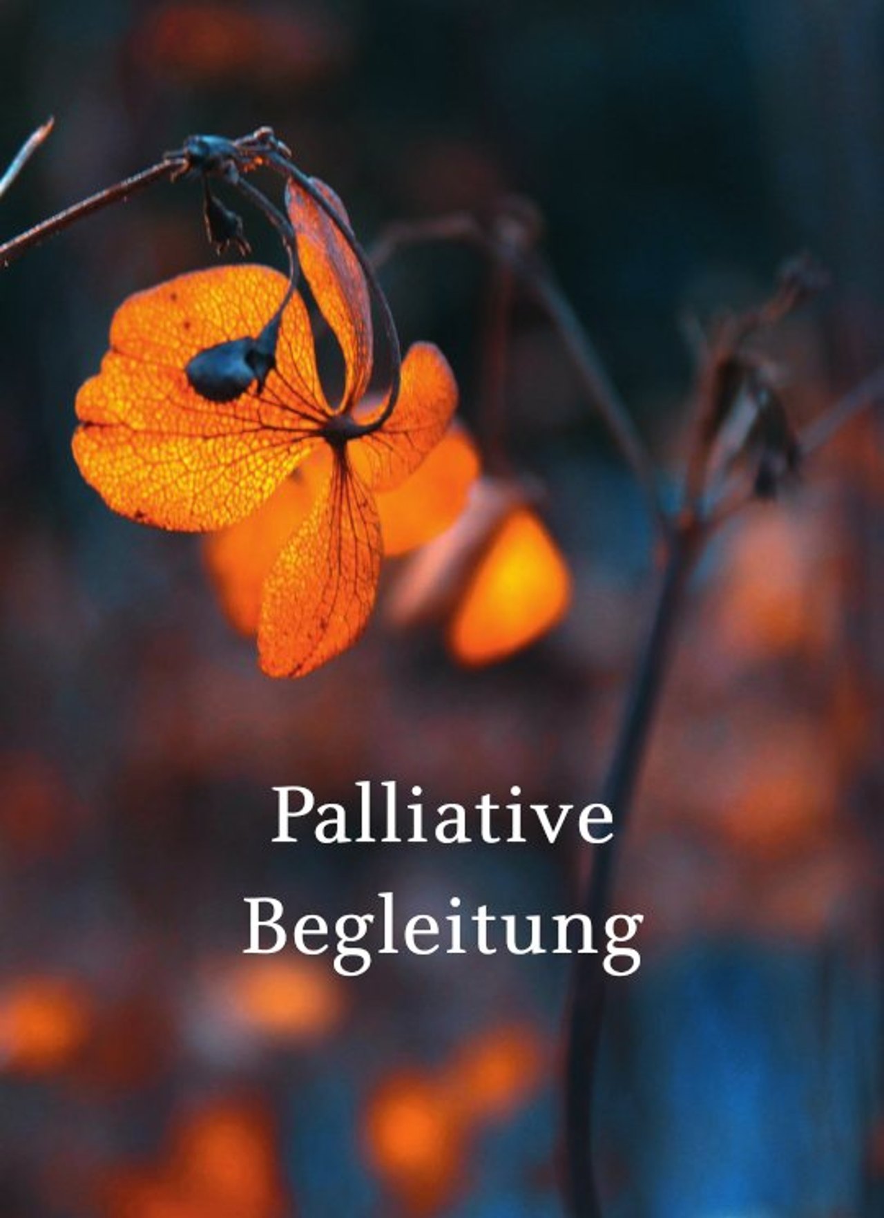 Palliative Begleitung: Eine Hand, auf die der Schmetterling sich setzen kann.