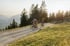 Drei Personen fahren mit Mountainbikes einen Schotterweg bergauf, umgeben von grünen Hügeln und Bergen bei Sonnenuntergang.