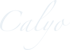 Calyo