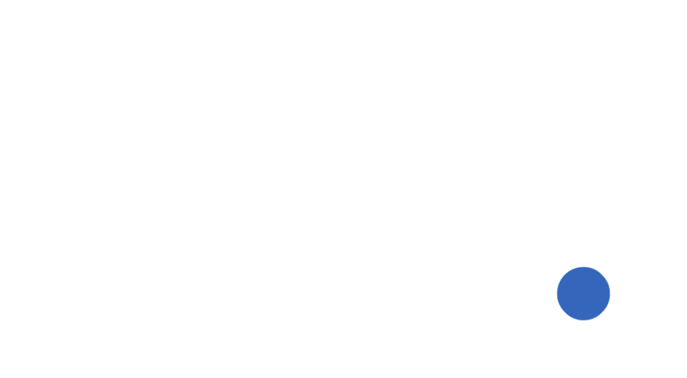 White letters "DN" followed by a small blue circle on a dark green background.