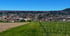 Immobilienmakler in Neustadt an der Weinstraße - Panorama über die Innenstadt