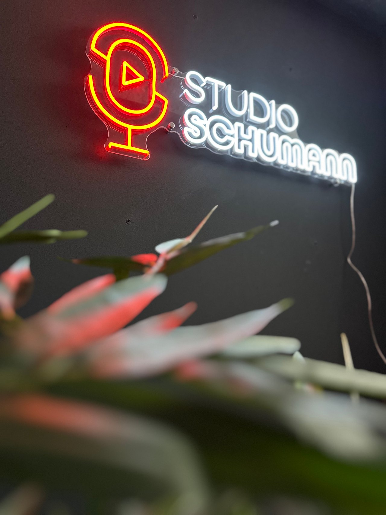 Leuchtendes Studio-Schumann-Logo an der Studiowand