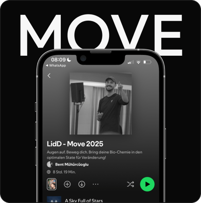 LidD - Move 2025