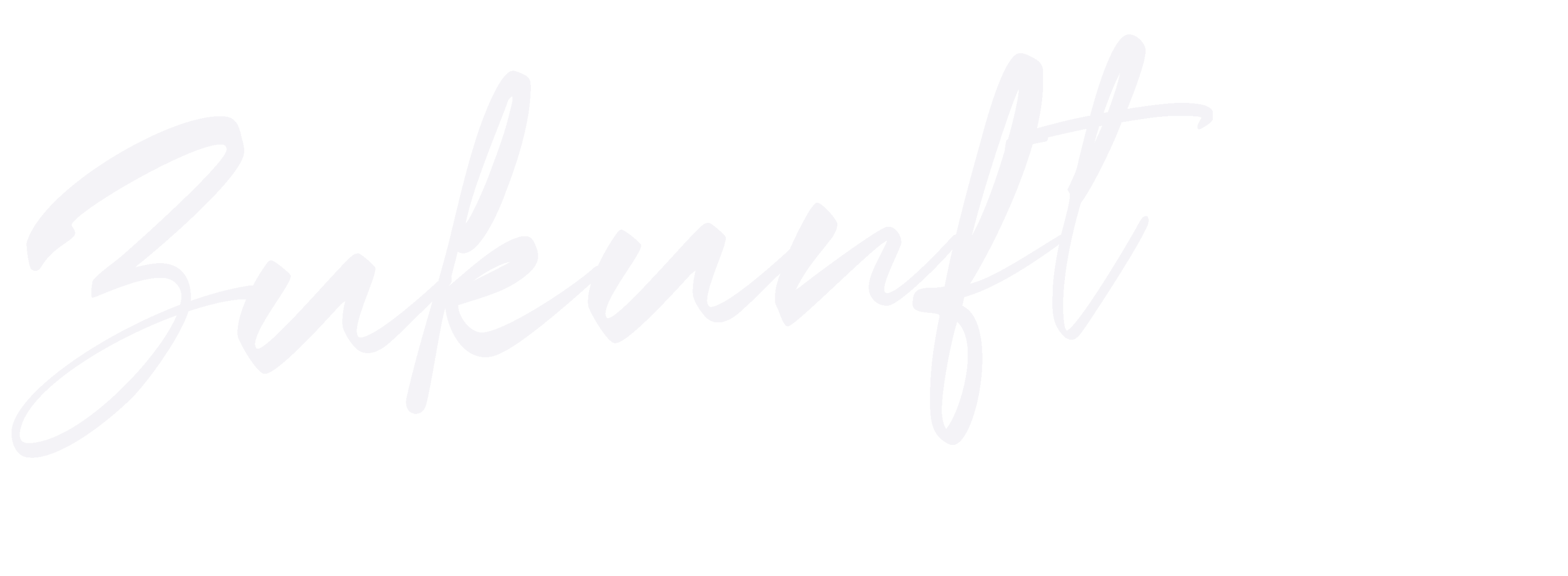 Zukunft