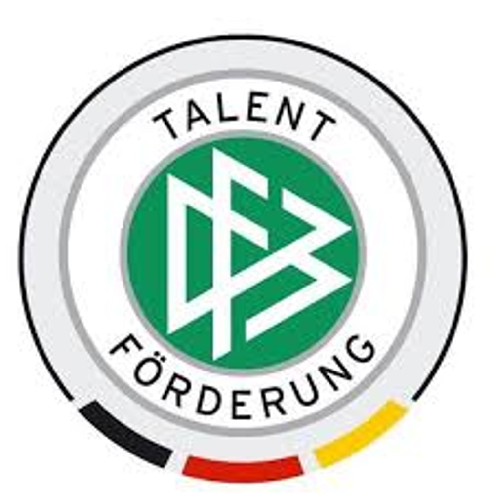 Logo DFB