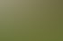 Fußballspieler in orangefarbenen Trikots stehen auf einem grünen Feld, einige schütteln sich die Hände.