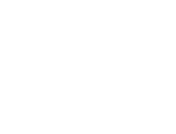 Unterschrift Max Driesner