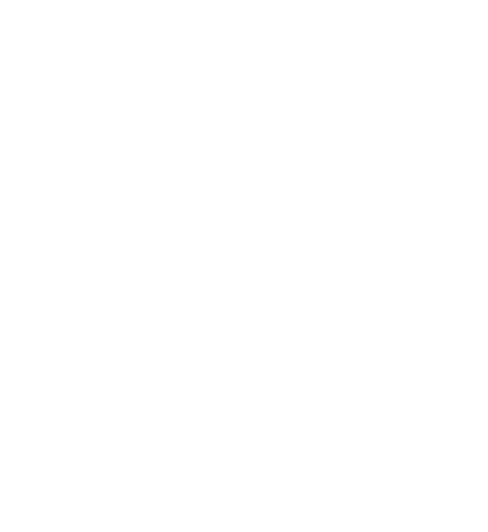 NIRO und KÖGL Logos mit Schriftzug "OFFIZIELLER VIP-PARTNER" und 4 Sternen in Rot auf Grün.