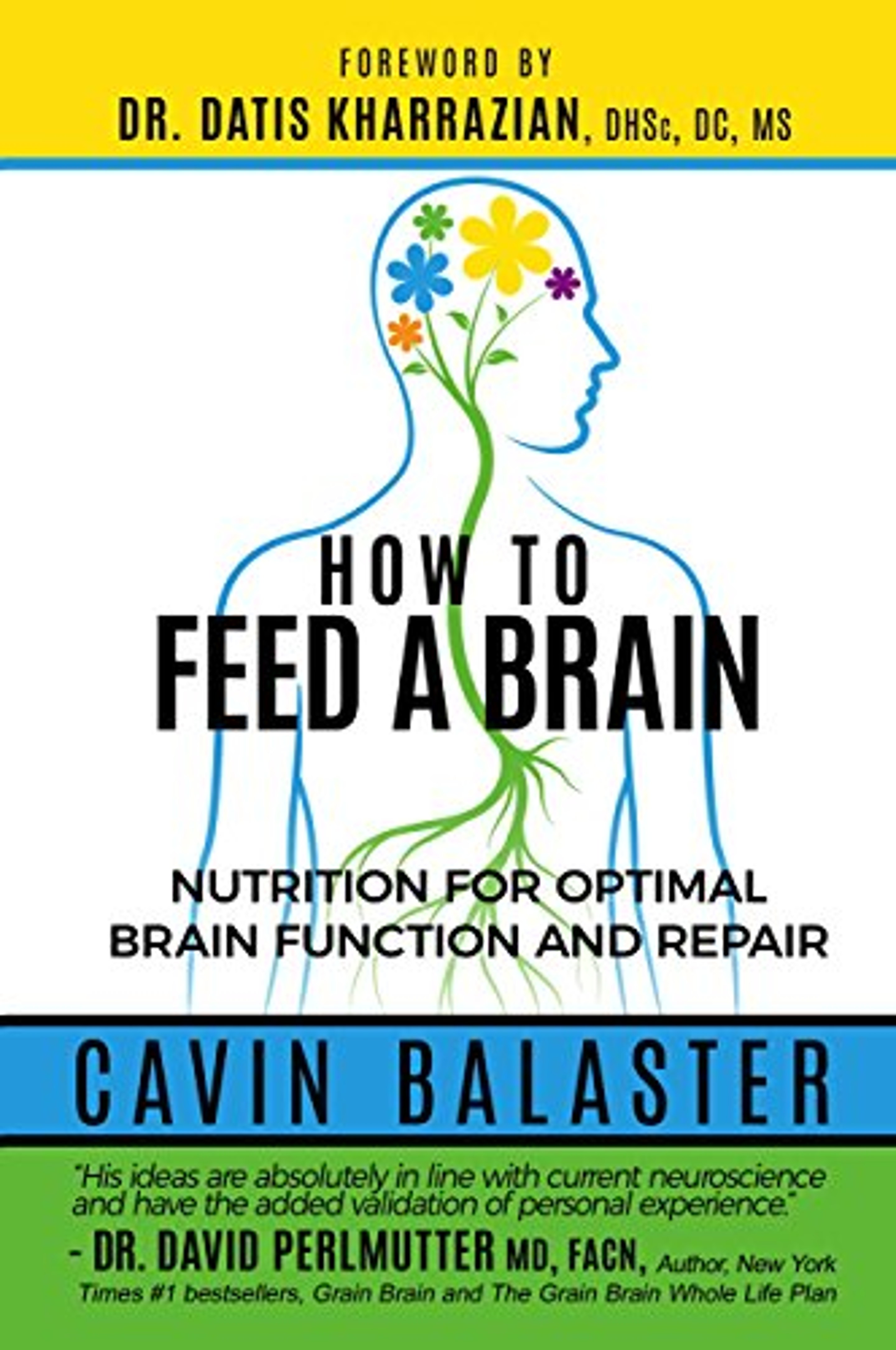 Cover: How to Feed a Brain