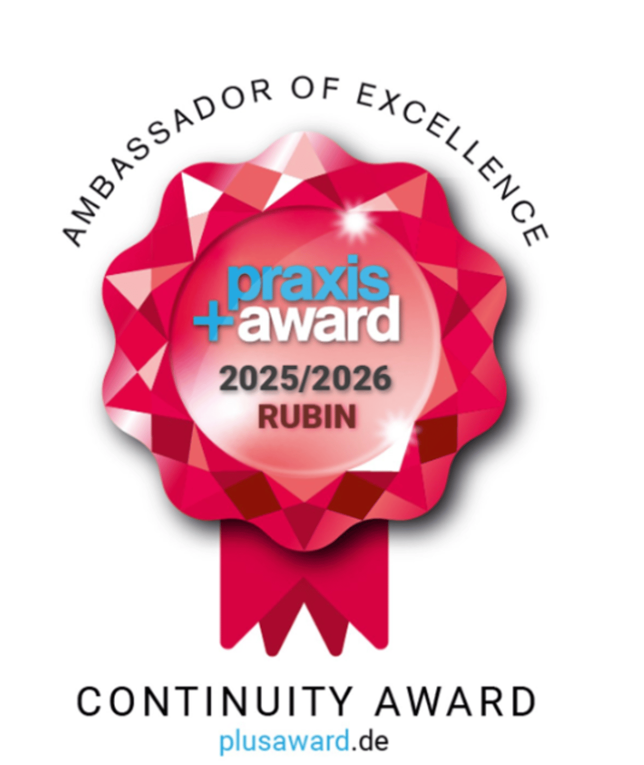 praxis+award 2025/2026