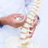 A doctor points to a spine model during a consultation.