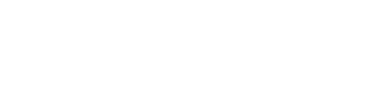 Baulig Consulting GmbH