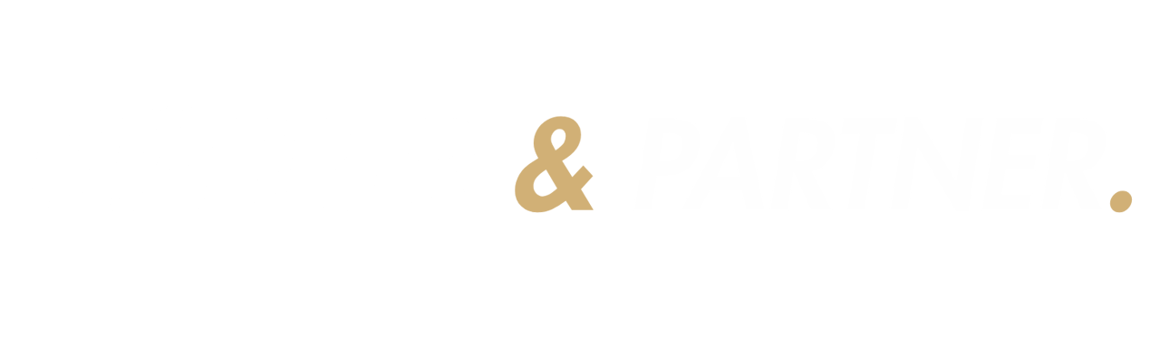N & P LOGO DARK MODE