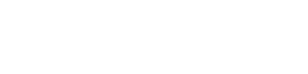 Weißer Text auf grünem Hintergrund, der "WaaS.ws" liest.