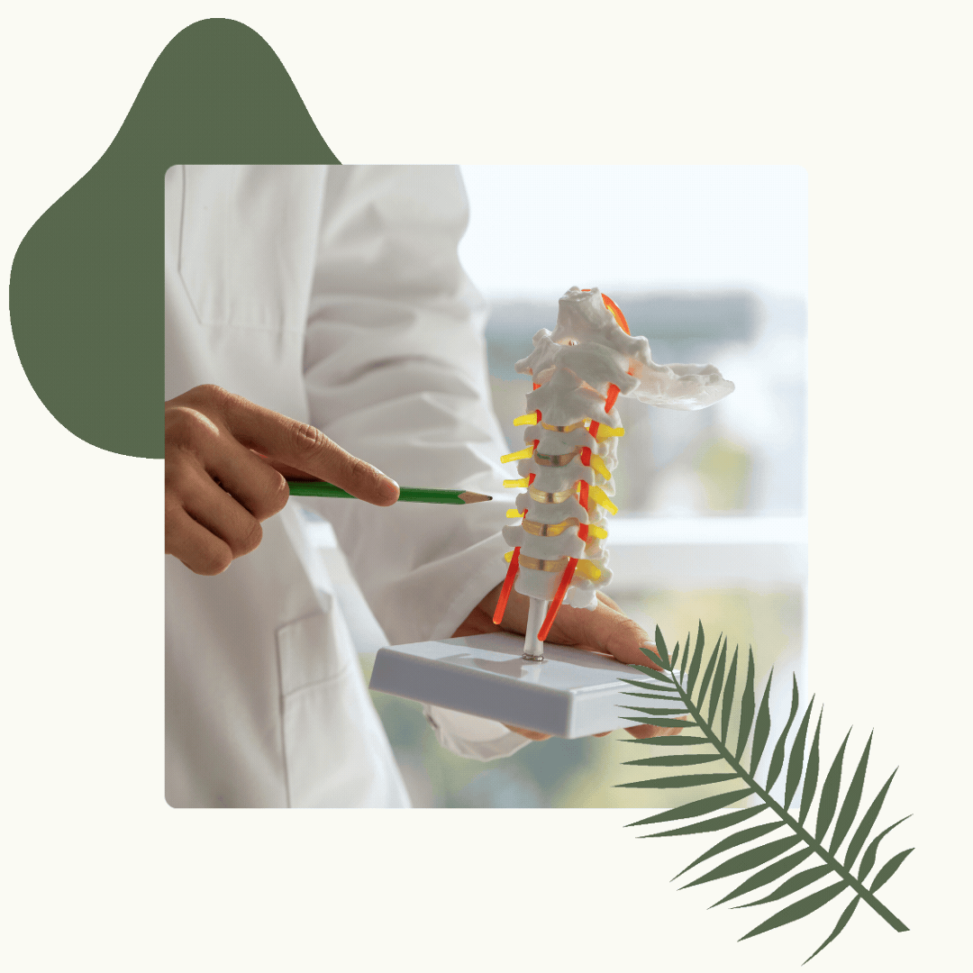 Herniated Disc Treatment in Sterling, VA